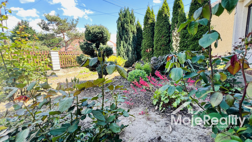 Znížená cena 5-izb. rodinný dom, D. Ozorovce, Bánovce n.B.