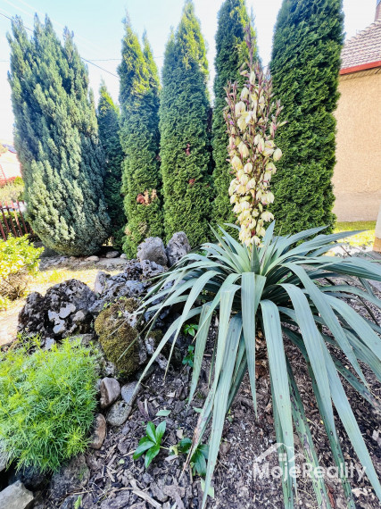 Znížená cena 5-izb. rodinný dom, D. Ozorovce, Bánovce n.B.