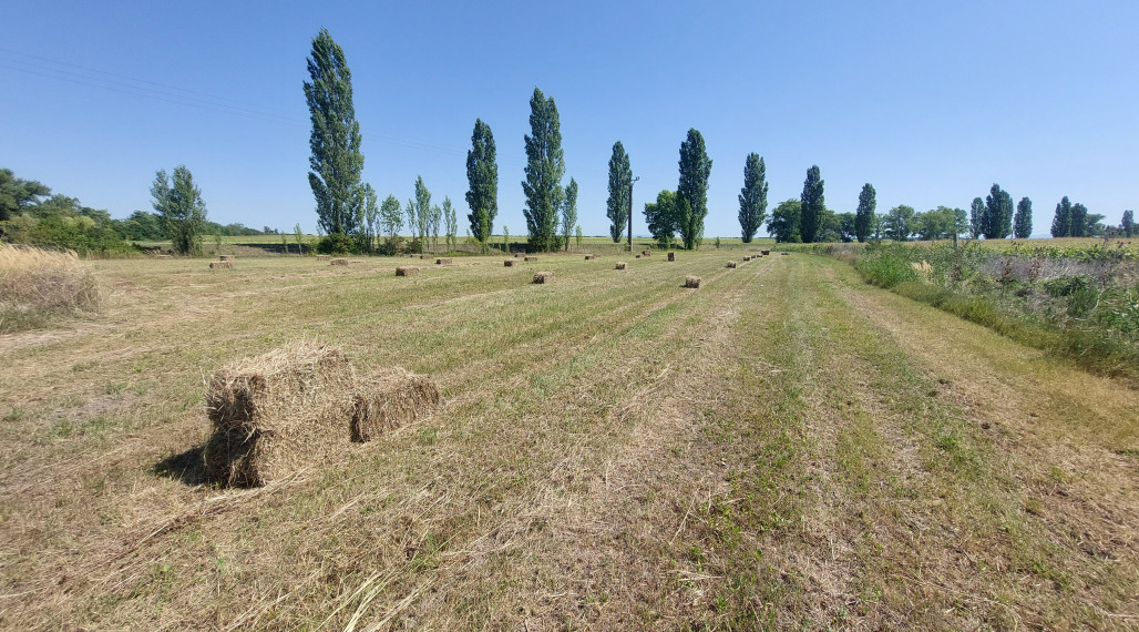 Kravany nad Dunajom , okr. Komárno – na predaj pozemok 5560 m2