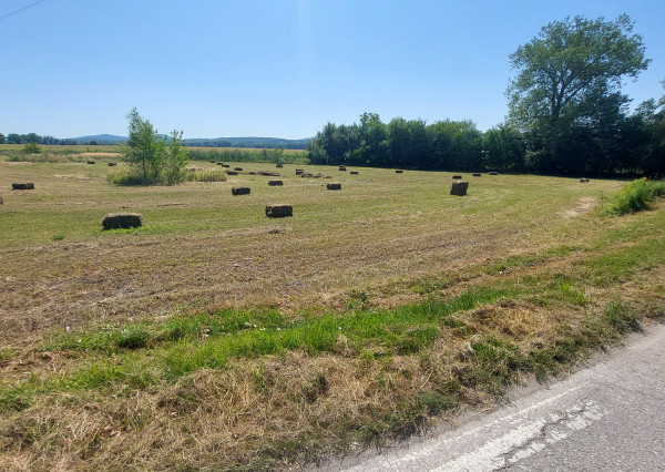 Kravany nad Dunajom , okr. Komárno – na predaj pozemok 5560 m2