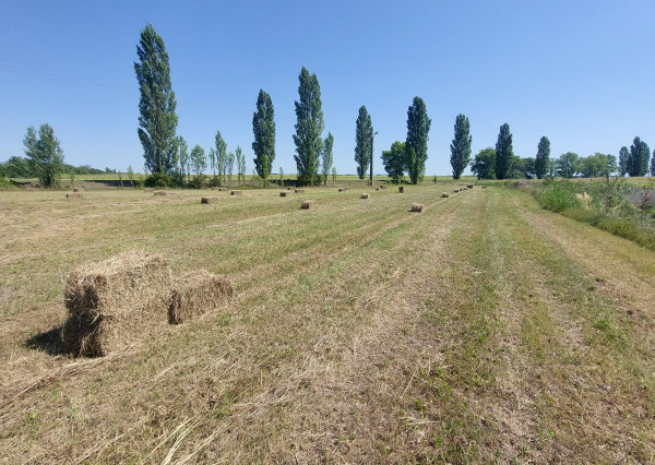 Kravany nad Dunajom , okr. Komárno – na predaj pozemok 5560 m2