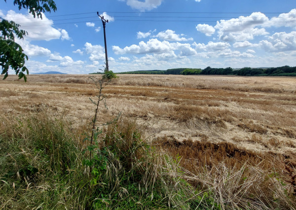 Horné Štitáre – rodinný dom  s veľkou záhradou– čiastočná rekonštrukcia